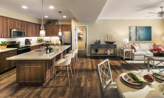 Mesa taylor chandler