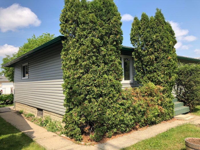 Stucco finishes exterior texture colors siding paint wall textures house walls vinyl cost vs estuco color de board houses design Stucco finishes exterior texture colors siding paint wall textures house walls vinyl cost vs estuco color de board houses design