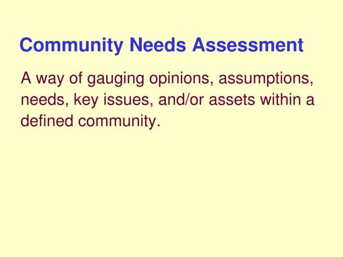 Community needs assessment
