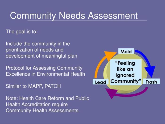 Community needs assessment