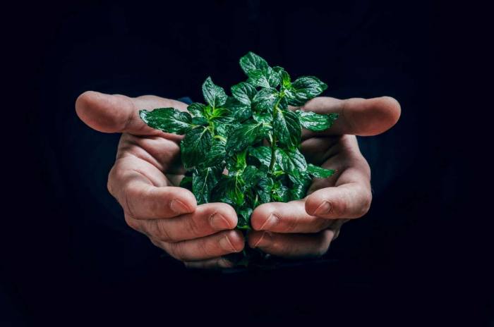 Benefits of community service