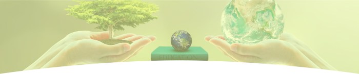 Community living services